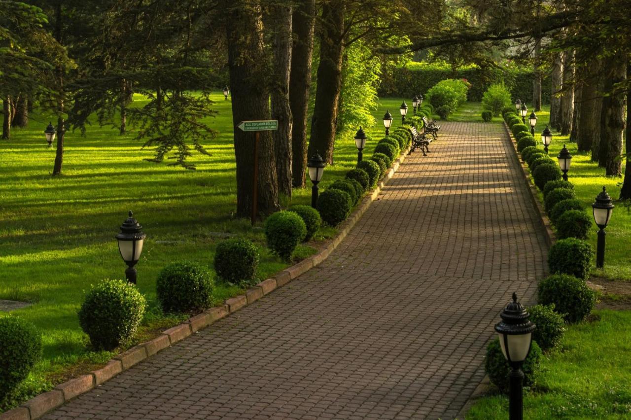 Курортный комплекс Ng Wellness & Convention Сапанча