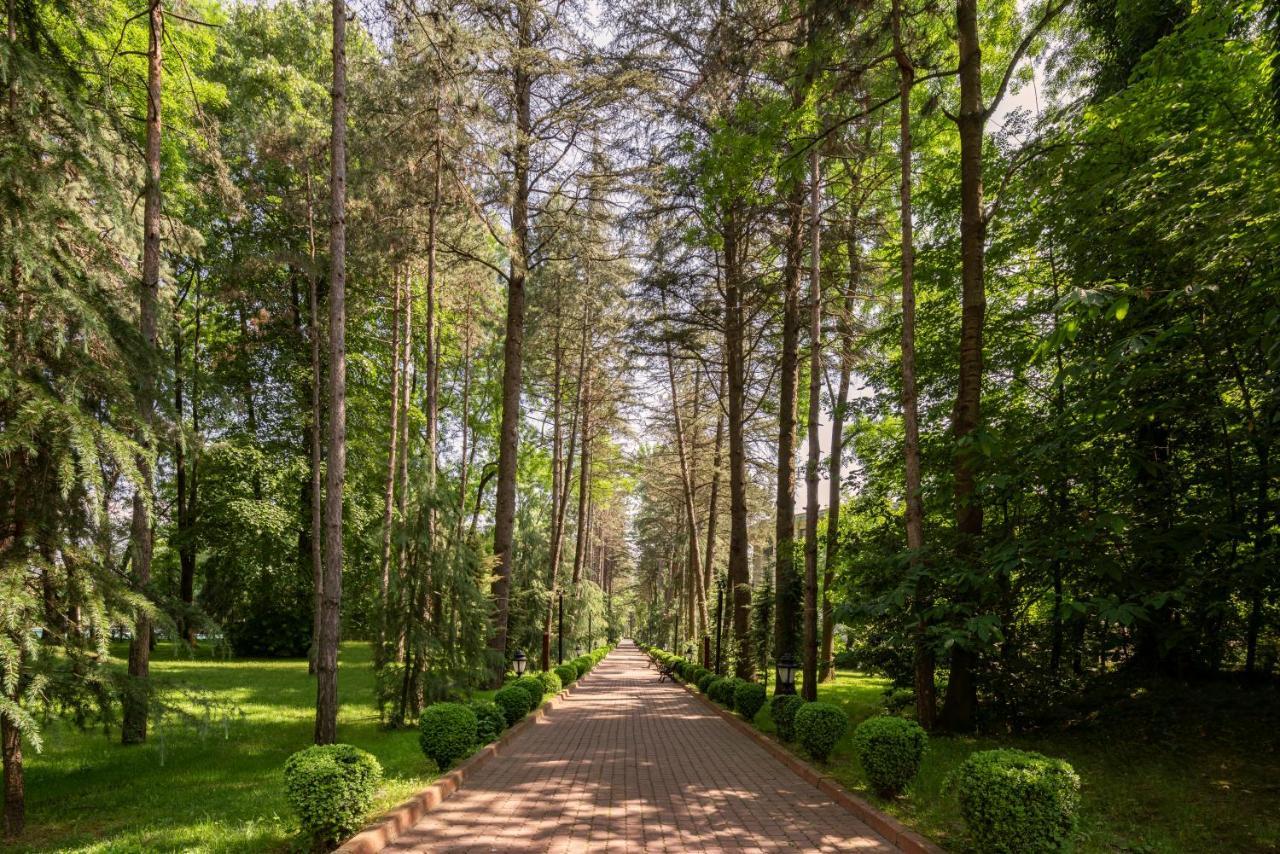 Ng Wellness & Convention אתר נופש 5*